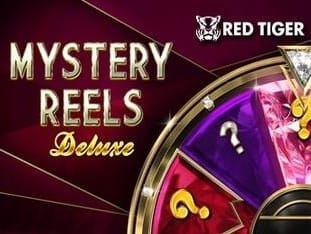 Mystery Reels Deluxe icon